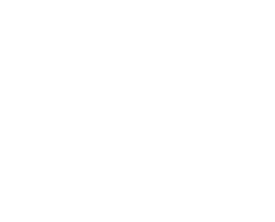 bridgestone-white
