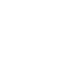 teltonika-white